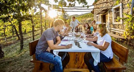 122977832_208152497349381_3792193250259537078_n