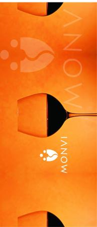 Monvi