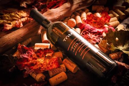 127491428_3219188884856851_3240299419920646120_n