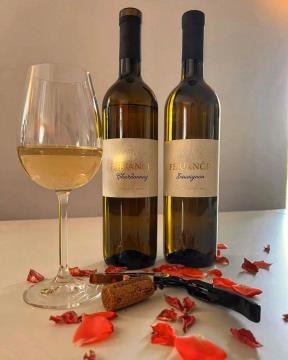 295706351_508312314445609_4283726514364496731_n