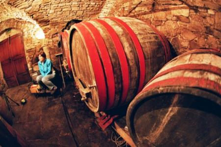 zvokelj_wine_cellar_3