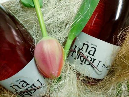 157669087_248246693671930_8630743844639686537_n