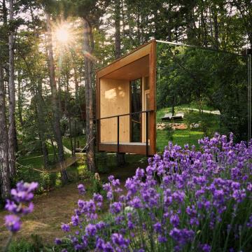 ForestVillageTheodosius_Junij2020_JanCermelj_WEB-01