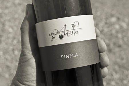 347544avin-andlovic-pinela_0