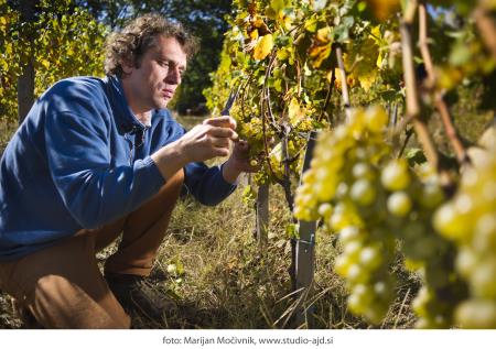 441611Burja_Primoz_Lavrencic_03