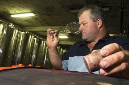 347743wine_cellar_rouna_-_owner