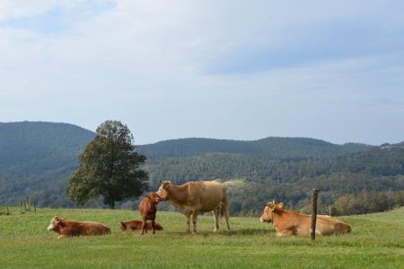 37624613243688_995528040542914_1258252652206769023_o