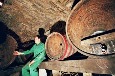347848zvokelj_wine_cellar4