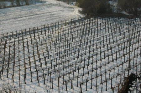 347853zvokelj_winter