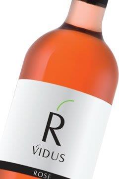 347779wine_cellar_vidus