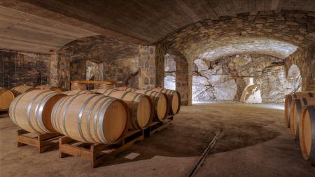 375273Vina_Poljsak-15