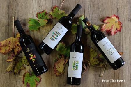 375540Vina_Pregeljc_29