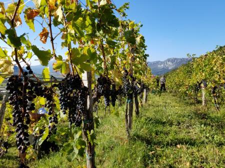 121458709_2721849098083131_4740994941155452487_n