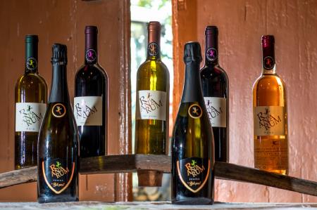 vinograd5