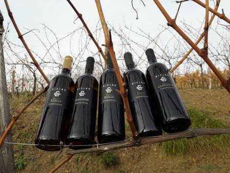 23737958_167950580611597_8960986148585024051_o