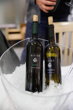 151971773_927321621341152_6295223277681331071_n