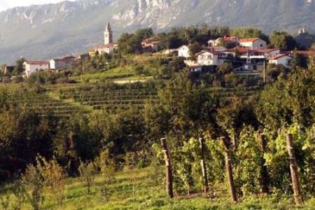 Na fotografiji je v ozadju Gradišče nad Vipavo na manjši vzpetini, slikano iz bližnjega vinograda