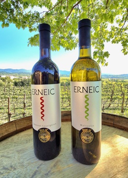 ERNEIC