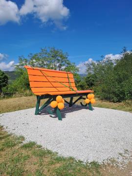 377269187_803705838215659_6621968665783242604_n