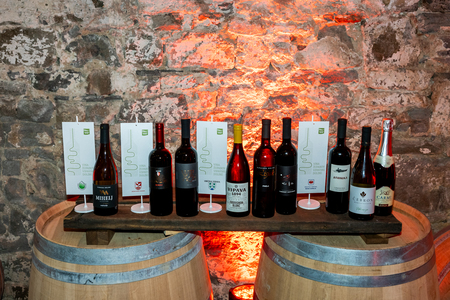 RazglasitevZupanovihVin2026_FOTO: Ana Rojc